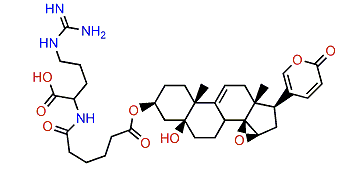 3-(N-Adipoyl argininyl)-marinobufagin-9(11)-ene